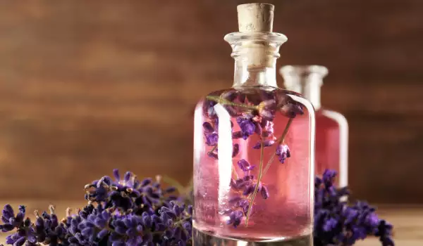 Lilac Oil - Medicinal Properties and Uses