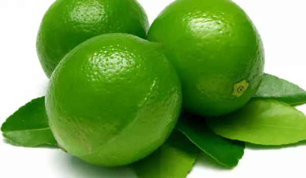 Citrus - Lime