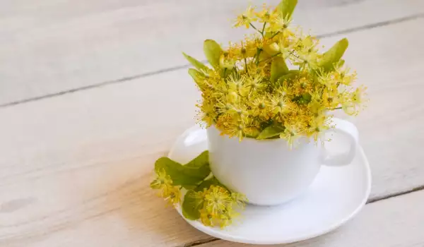 How to Dry Linden Flowers