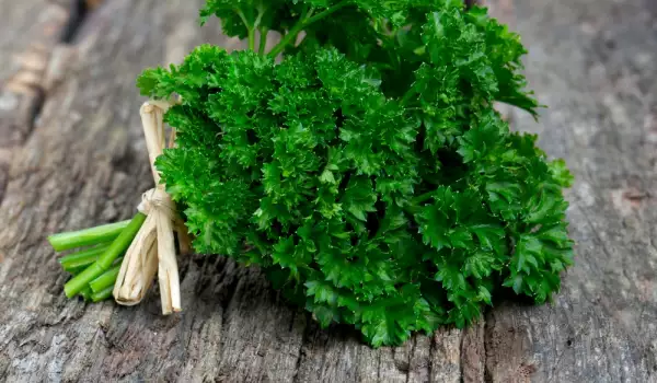 Parsley goes with chicken soup