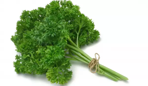 Fresh Parsley