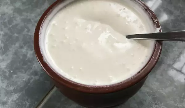 Cottage Cheese Mayonnaise