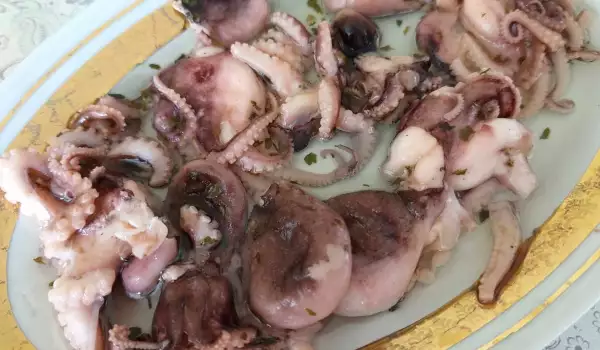 Marinated Mini Octopuses