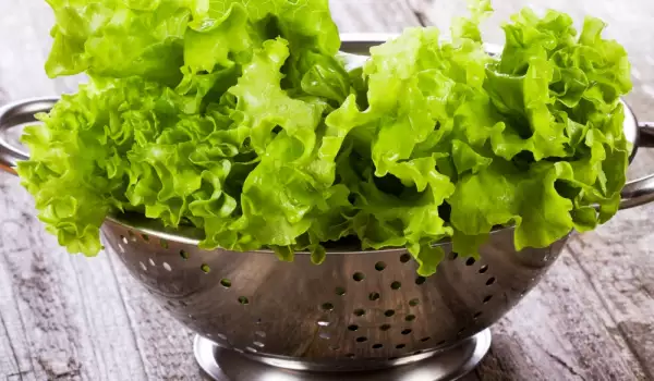 How to Clean Lettuce?
