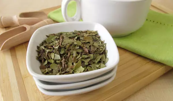 How to Make Uva Ursi Tea