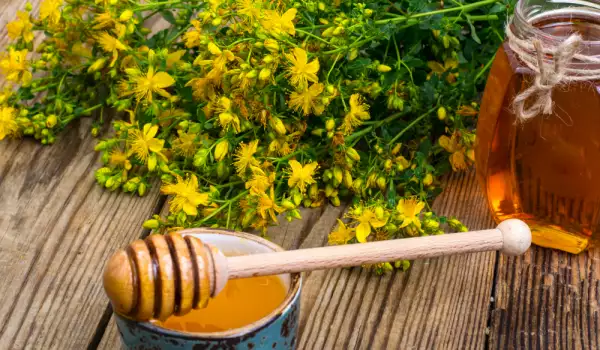 St. John's Wort Tea