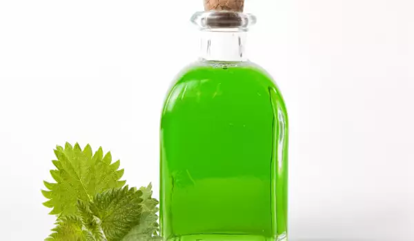 Nettle for hair loss