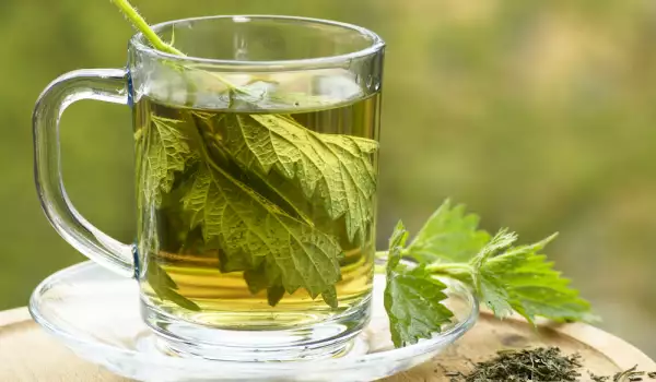 Nettle Water - Uses and All Benefits