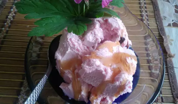 Homemade Low-Calorie Ice Cream