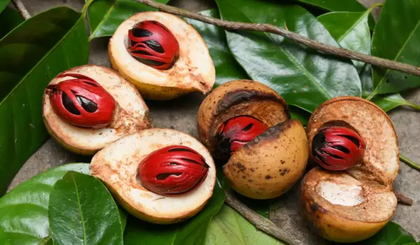 Nutmeg oil