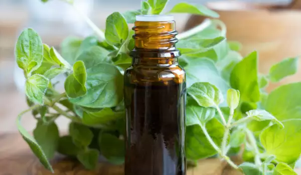 Uses of Oregano Oil