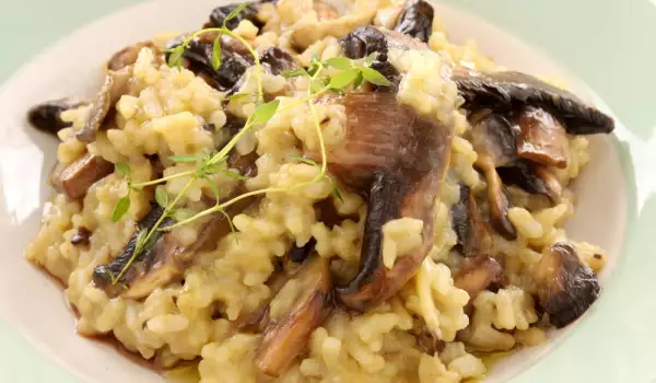 Risotto with Mushrooms and Cream