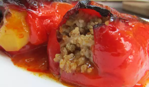 Stuffed Peppers with Minced Meat, Rice and Tomato Sauce