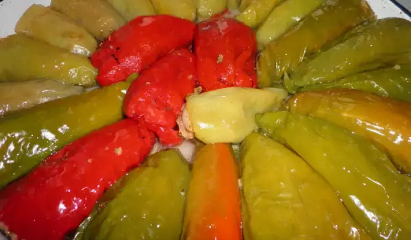 Tasty Peppers Stuffed with Beans