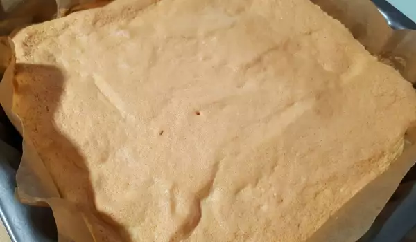 Sponge Cake Layer for a Roll