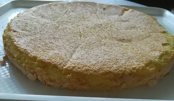 Sponge Cake Layer