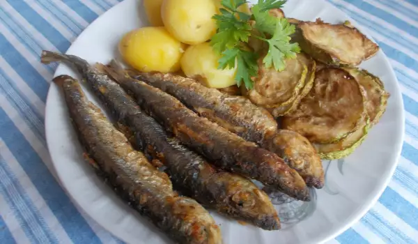 Fried Sardines