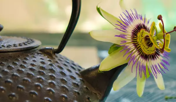 Passionflower Benefits