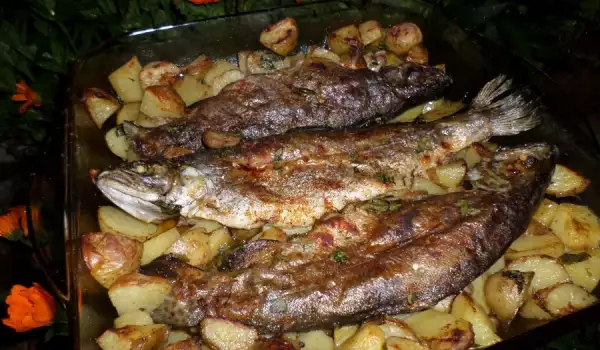 Baked Trout with Potatoes