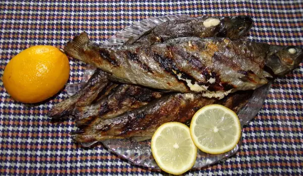 Easy Grilled Trout