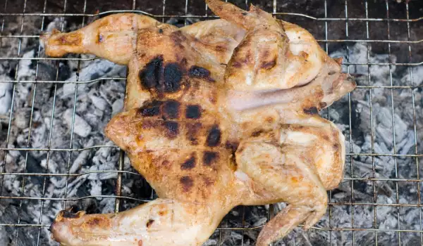 Grilled Partridge