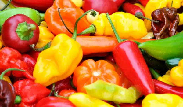 How Many Peppers are in 1 kg?