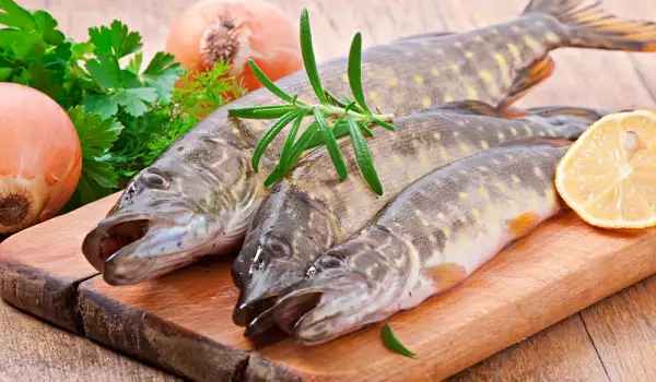 How to Cook Pike?