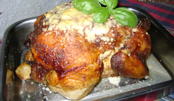 Appetizing Chicken with Parmesan and White Wine