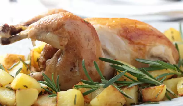 Chicken with rosemary