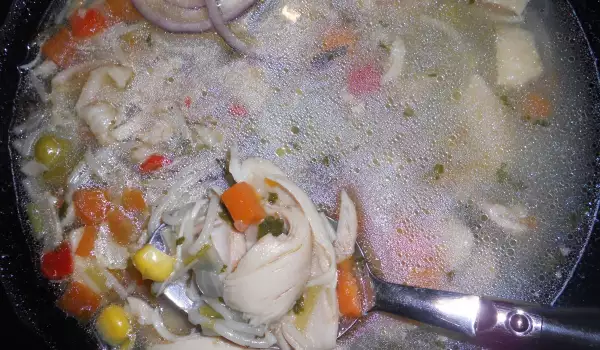 Colorful Chicken Soup