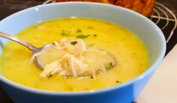 Thick Chicken Soup with Leeks and Parsnips