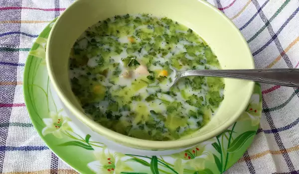 Chicken Soup with Cream