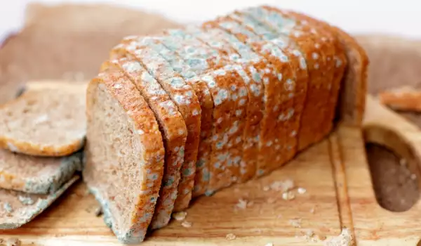 Bread with mold