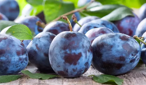 Plums are very healthy