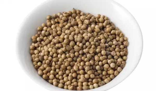 Coriander seeds