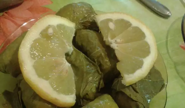 Lean Vine Leaf Sarma with Lemon