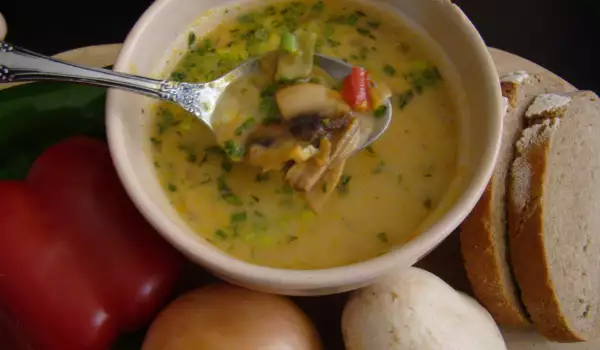 Spring mushroom soup