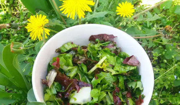 Lollo Rosso Salad