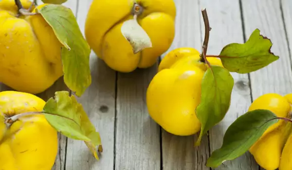 How to Store Quinces for a Longer Time?