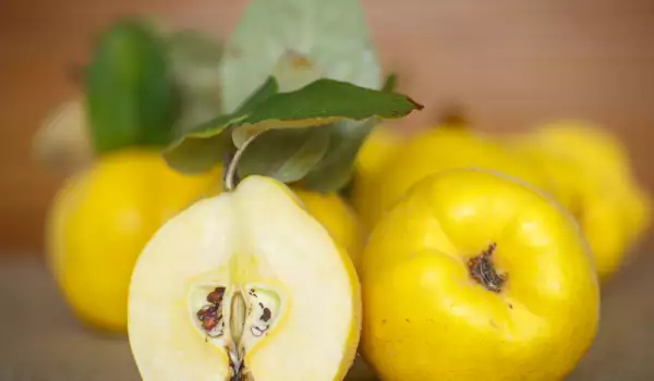 Benefits of quince seeds