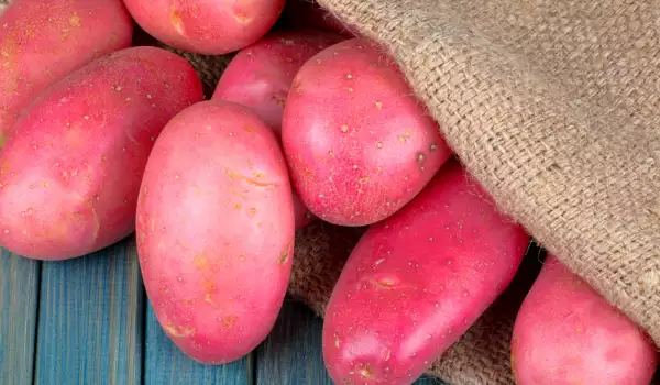 Red potatoes have protein