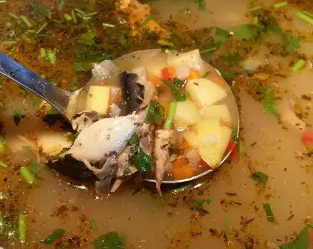 Traditional Fish Soup with Lovage