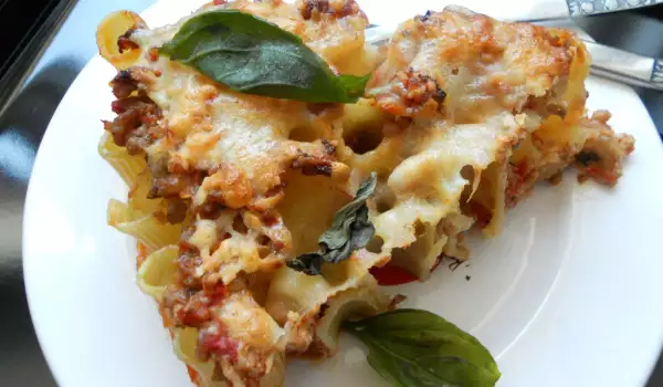 Rigatoni with Minced Meat and Italian Spices