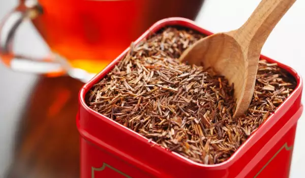 Rooibos Tea - Composition, Effects and Benefits