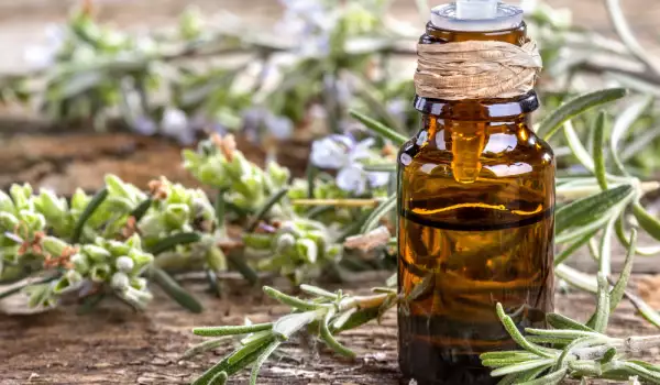 Rosemary oil