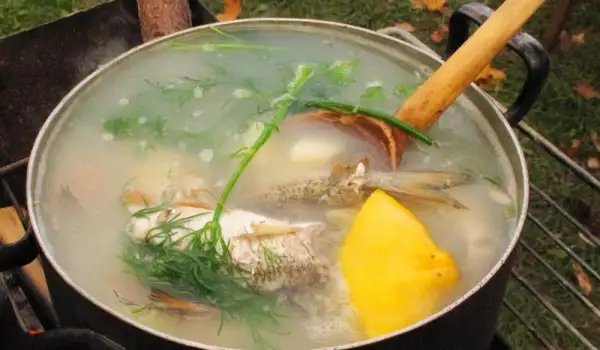 How Long is Fish Boiled for?
