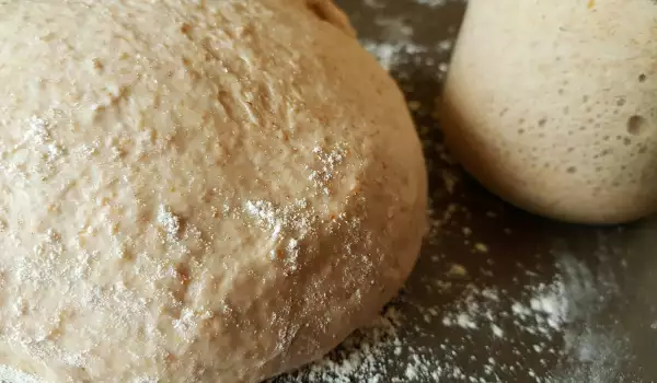 Rye Sourdough Dough