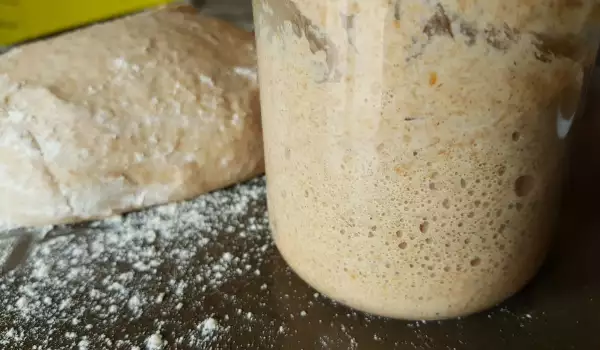 Rye Sourdough Dough