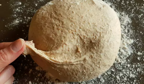 Rye Sourdough Dough