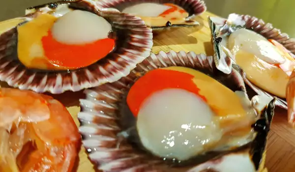 Coquilles Saint-Jacques - What Are They?
